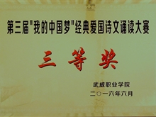 ”我的中國(guó)“夢(mèng)經(jīng)典愛國(guó)詩(shī)文誦讀大賽二等獎(jiǎng)